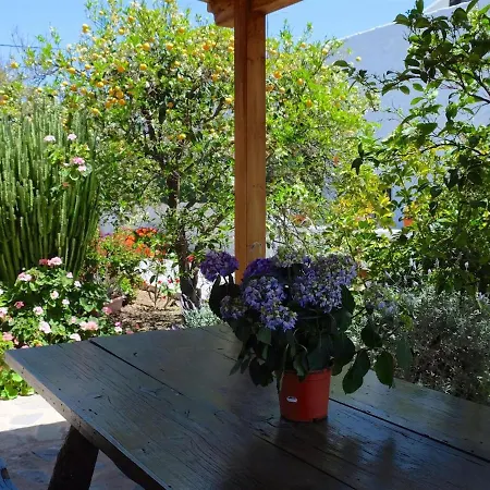 Sofia * グラナディージャ・デ・アボナ